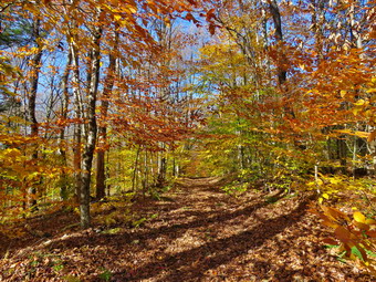 picture taken during a hike