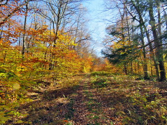 picture taken during a hike