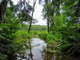 picture taken during a hike