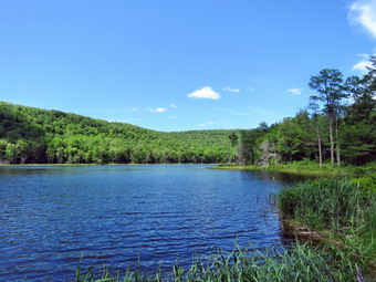 picture taken during a hike