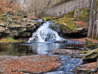 picture taken during a hike