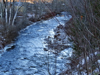 picture taken during a hike