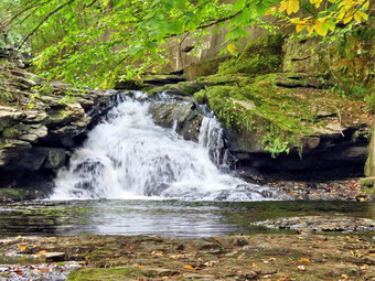 picture taken during a hike