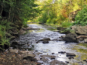 picture taken during a hike