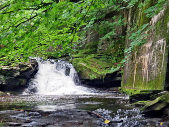 picture taken during a hike