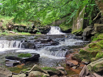 picture taken during a hike