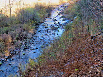 picture taken during a hike