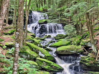 picture taken during a hike