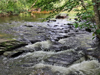 picture taken during a hike