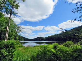 picture taken during a hike