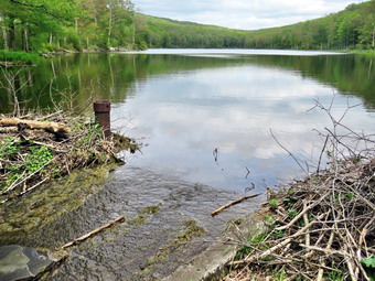 picture taken during a hike