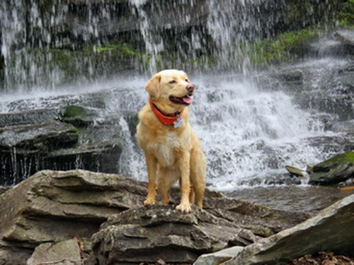 picture taken during a hike